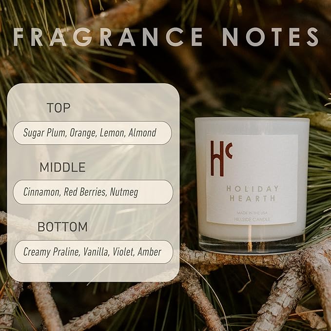 Holiday Hearth Single Wick Soy Candles, Luxury Scented Candles for Home - Up to 60 Hour Burn Time, Cruelty-Free Soy Wax Blend - Frosted Sugar Plum & Cinnamon Fragrance (9 oz) - Bloomnest