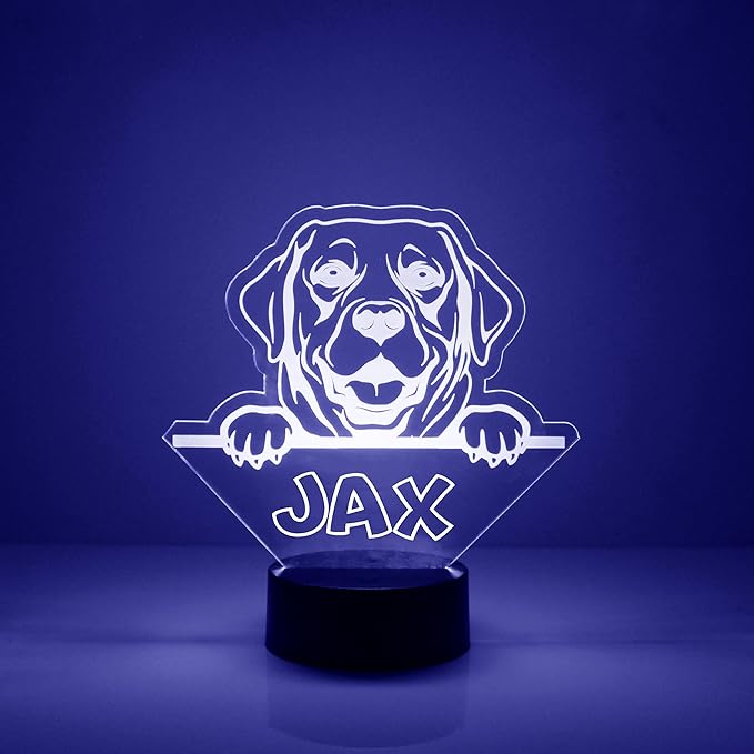 Dog LED Light for Dog Lovers, Custom Engraved with Your Name or Text, Includes Remote with 16 Colors (Labrador Retriever) - Bloomnest