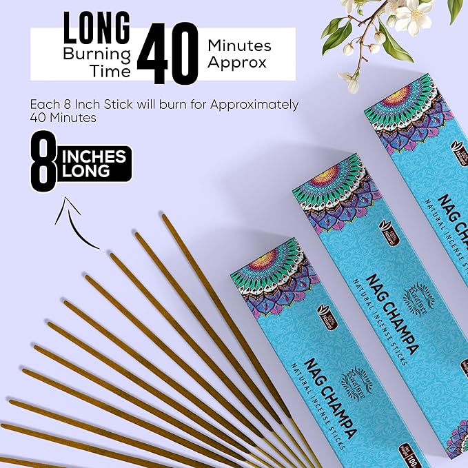 Raajsee Nag Champa Incense Sticks (180 gm), 100% Pure Organic Natural Hand Rolled Free from Chemicals - Nag Champa Incense is Perfect for Aromatherapy, Cleansing, Meditation (Pack of 12) - Bloomnest