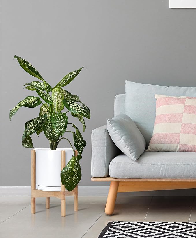 D'vine Dev Ceramic Planter with Natural Stand - 10 Inch Modern Round Flower Pot with Wood Planter Holder, White, 55-B-K-1 - Bloomnest