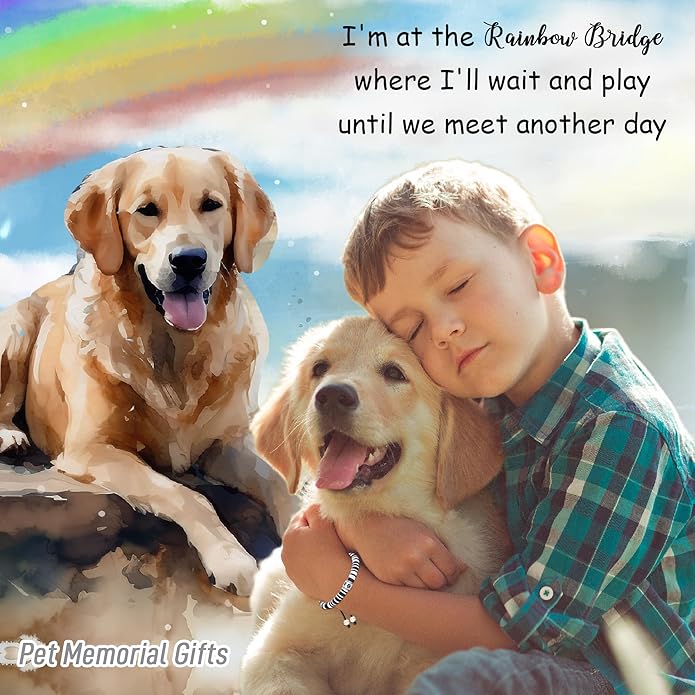 TONY & SANDY Dog Memorial Gifts, Pet Sympathy Rainbow Bridge Pet Memorial Bracelet for Men Women Girls Who Loss of Beloved Dog Cat - Bloomnest