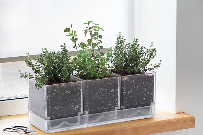 D'vine Dev Herb Garden Planter Set, Plastic Plant Pots with Drainage and Saucer, Indoor Succulent Cactus Vegetable Pot for Windowsill, Garden Balcony, Clear, Set of 1, 76-V-D-1 - Bloomnest