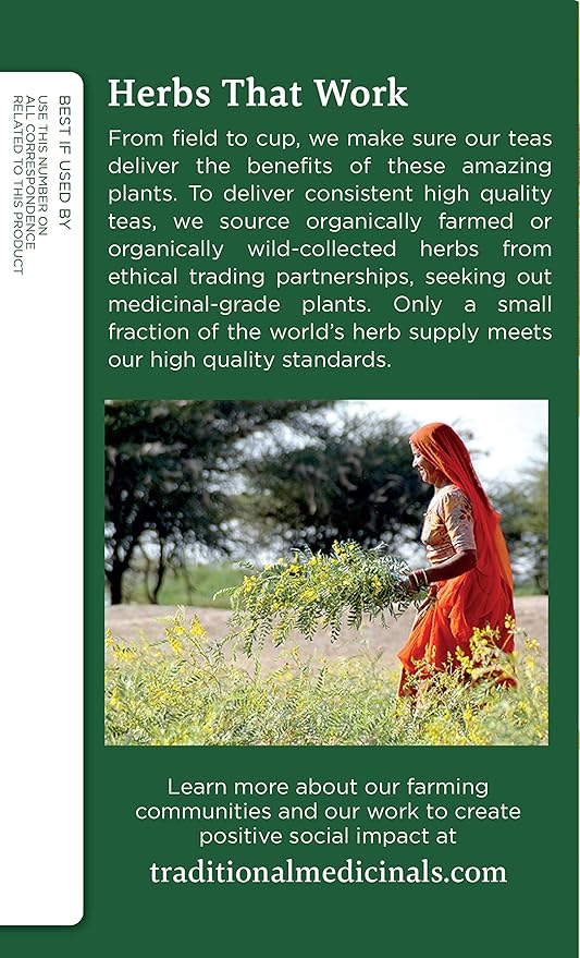 Traditional Medicinals Organic Ginger Herbal Tea, Promotes Healthy Digestion, (Pack of 2) - 16 Tea Bags - Bloomnest