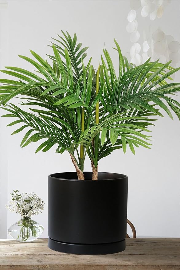 Aveyas 8 inch Ceramic Plant Pot with Drainage Hole and Saucer - Suitable for Indoor and Outdoor Use, Modern Planters for House Garden Flower Tree Snake Monstera Plants (8", Matte Black) - Bloomnest