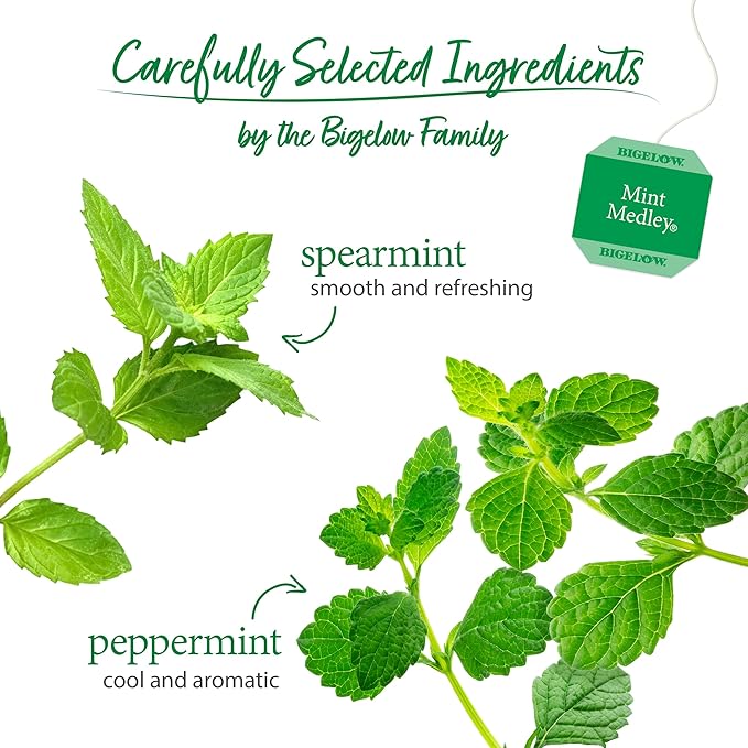 Bigelow Tea Mint Medley Herbal Tea, Caffeine Free Mint Tea with Spearmint and Peppermint, 20 Count Box (Pack of 6), 120 Total Tea Bags - Bloomnest