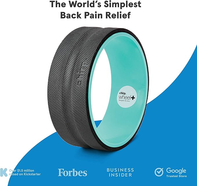 Chirp Wheel Foam Roller – Targeted Back & Neck Relief, Lumbar Spine Stretcher, Spinal Decompression Back Stretcher, Massage Roller with Density Foam for Physical Therapy, Supports 500lbs, 12-Inch Mint
