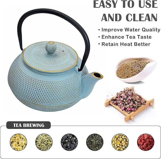 30.4oz Small Cast Iron Teapot, Tea Kettle for Stovetop Safe Coated with Enameled Interior, Japanese Tetsubin, Tea Pot with Stainless Steel Infuser for Loose Tea(900ml) - Bloomnest
