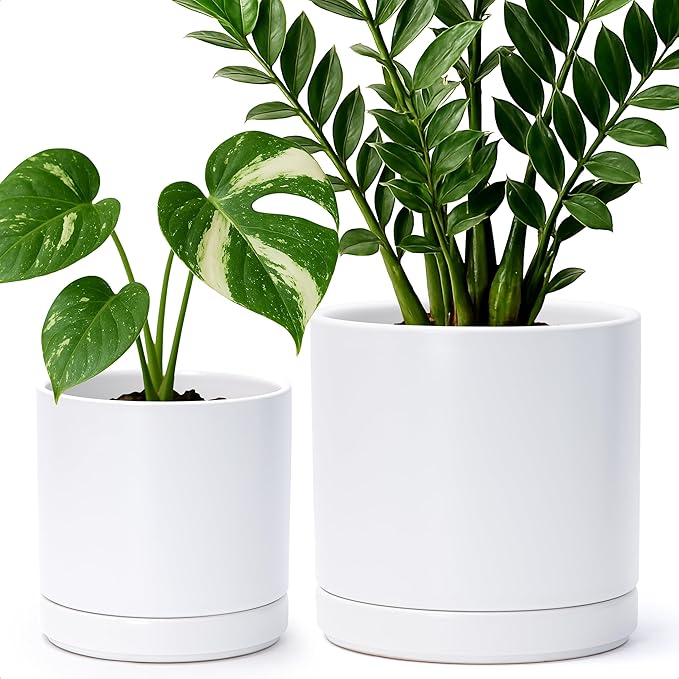 D'vine Dev 6.5 Inch & 8.2 Inch Ceramic Planter Pots for Plants with Drainage Hole and Saucer, Medium Plant Pots Set, White, 94-G-M-1 - Bloomnest