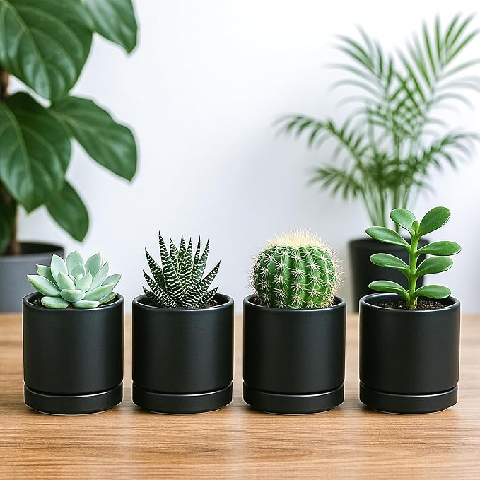D'vine Dev Set of 4 Small Ceramic Plant Pots, 3.5 Inch Succulent Planter Pot for Plants with Drainage Hole and Saucer, Black, 94-X-A-2 - Bloomnest