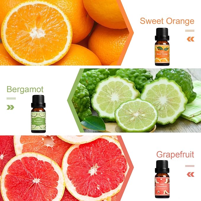 SALUBRITO Fresh Fruit Fragrance Oils Set, Essential Oils for Diffuser, Candle, Soap Making - Strawberry, Sweet Orange, Pineapple, Coconut, Bergamot, Grapefruit, 6X10ml - Bloomnest