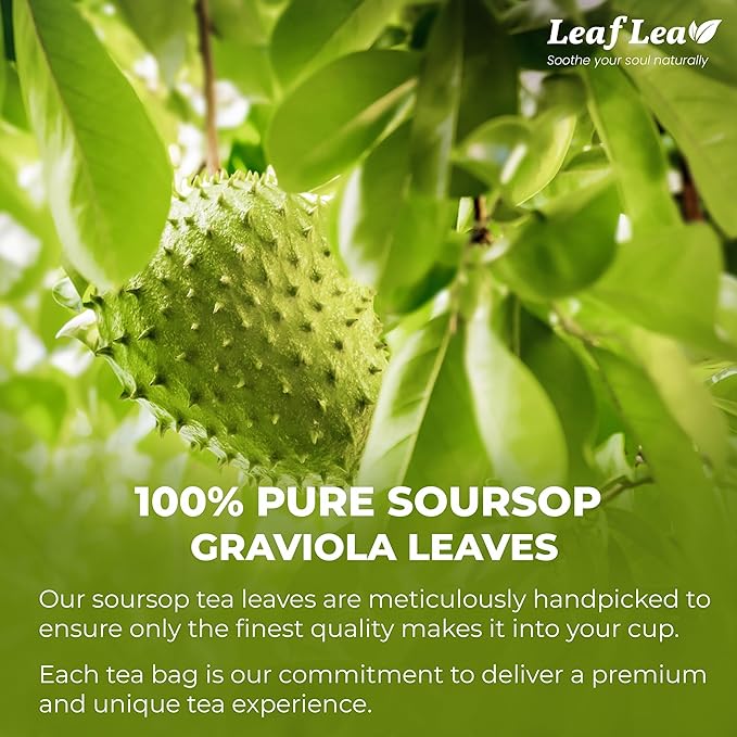 LeafLea 80 Soursop Leaf Tea Bags, from Natural Soursop Leaves (Graviola), Herbal Blend for Wellness, Sour Sop Herbal Tea Individually Wrapped for Freshness, Caffeine-Free, Vegan, No Sugar, Non-GMO - Bloomnest