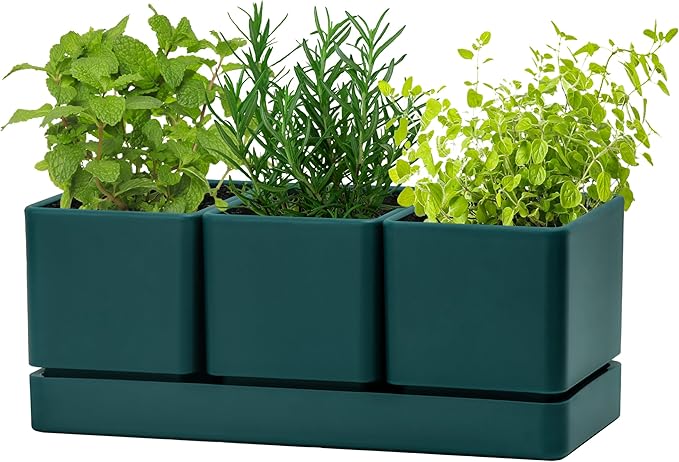 D'vine Dev Herb Garden Planter Set, Plastic Plant Pots with Drainage and Saucer, Indoor Succulent Cactus Vegetable Pot for Windowsill, Garden Balcony, Green, Set of 1, 76-V-C-1 - Bloomnest