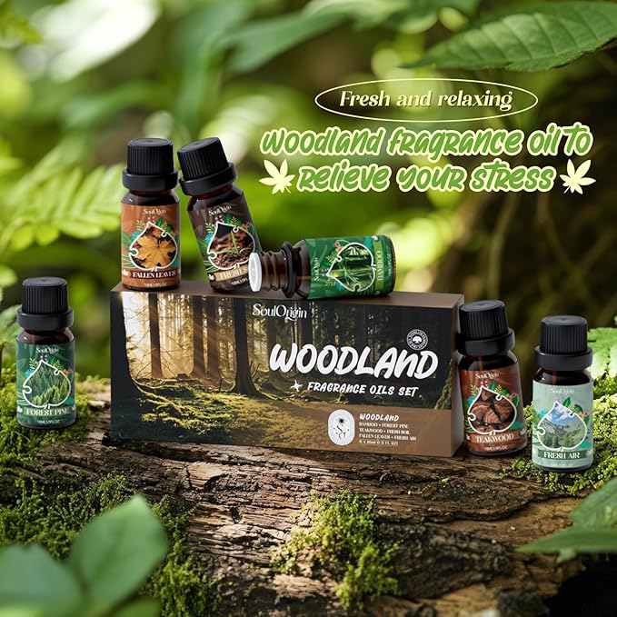 Woodland Fragrance Oils Set, Essential Oil Gift Set for Diffuser, Woody Scent Diffuser Oil, Diffuser Scents Oil for Home - Forest Pine, Teak, Bamboo, Fresh Soil, Fallen Leaves, Fresh Air - Bloomnest