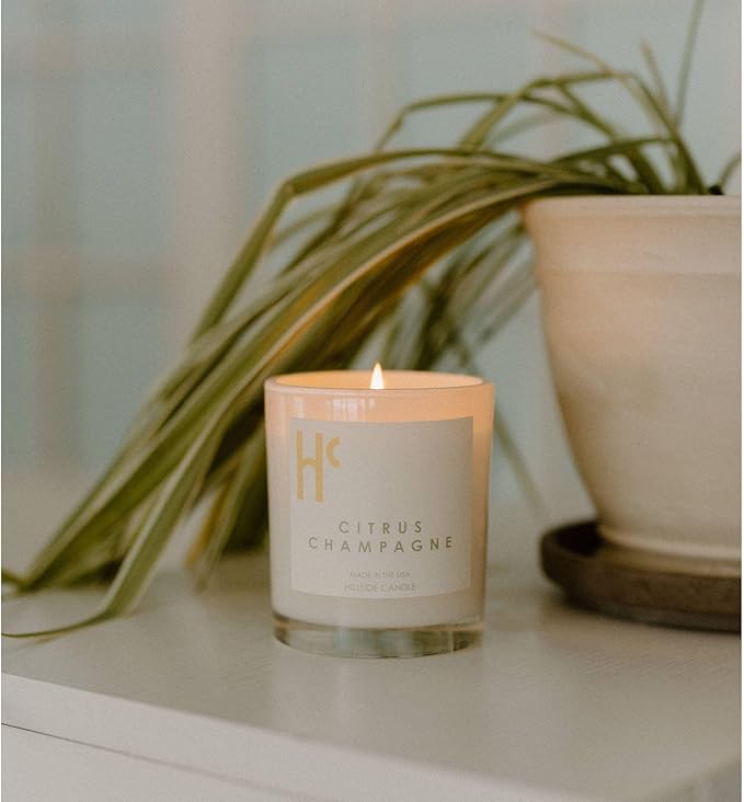 Citrus Champagne Single Wick Soy Candles, Luxury Scented Candles for Home - Up to 60 Hour Burn Time, Cruelty-Free Soy Wax Blend - Citrus Fragrance, Notes of Berries & Jasmine (9 oz) - Bloomnest