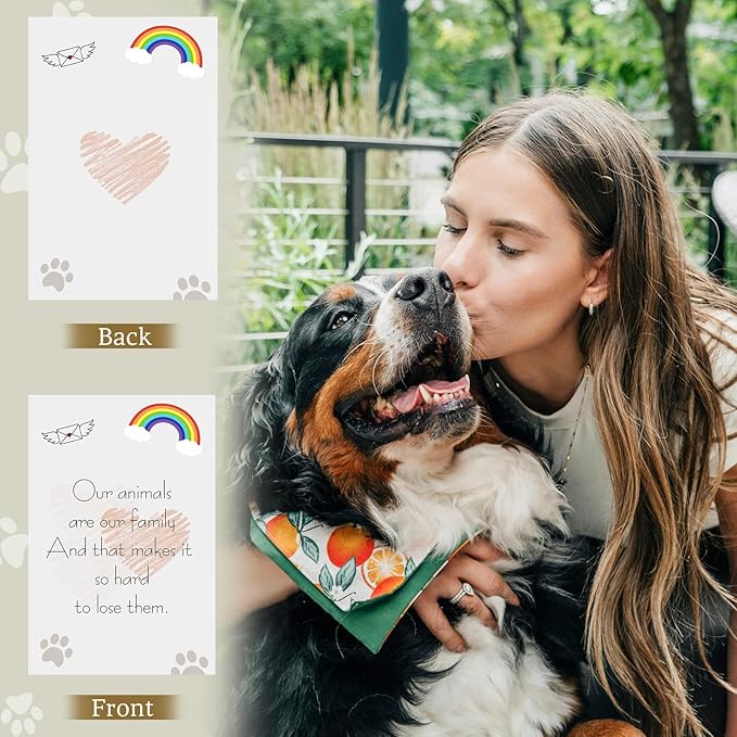 Dog Memorial Gifts with Remote - Sympathy Bereavement Gifts for Loss of Dog, Rainbow Bridge Memorial Lantern for Grieving Pet Owner - Bloomnest