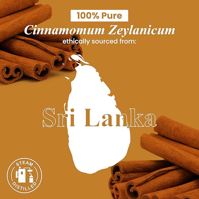 Handcraft Blends Cinnamon Essential Oil – 1 Fl Oz – 100% Pure and Natural – Premium Grade Essential Oil for Diffuser and Aromatherapy, Skin, Massage, Candle and Soap Making Fragrance - Bloomnest