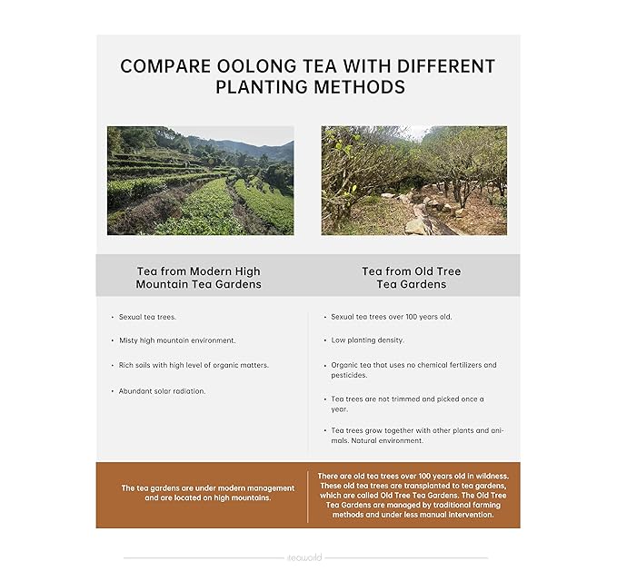 iTeaworld Oolong Tea Set 4 Flavors, Oolong Tea Sampler Loose Leaf, Flowery Aroma, No Sweetener, High to Low Caffeine, Up to 112 Cups, Whole Leaf, 2.1OZ - Bloomnest