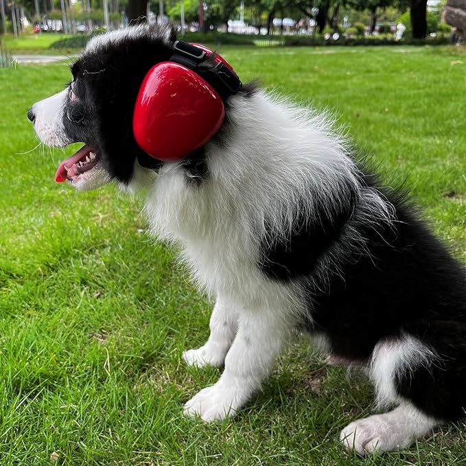 Dog Earmuffs for Hearing Protection 29dB NRR Ear Muffs Noise Protection (Large, Red) - Bloomnest