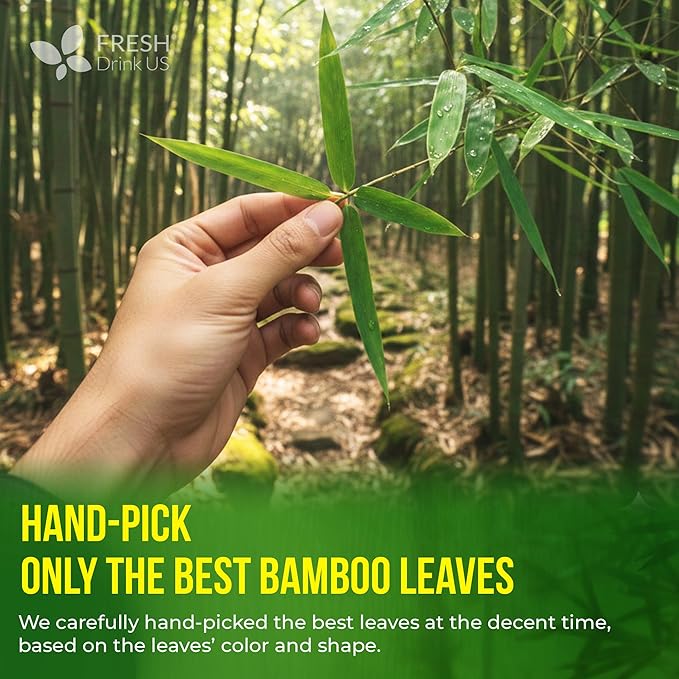 FreshDrinkUS, Premium Bamboo Leaf Tea Bags | 40 Count | Naturally Light & Refreshing Caffeine-Free Herbal Tea – From 100% Natural Bamboo Leaves. Sugar-Free. Vegan - Bloomnest