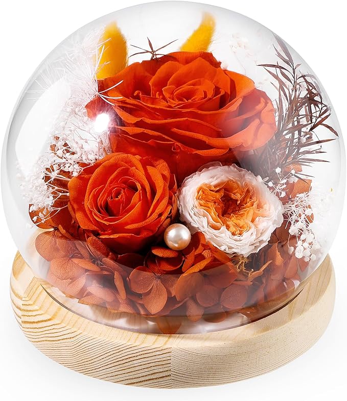 FIACO Preserved Rose Birthday Gift for Women Forever Fresh Flowers for Prime Delivery Gift for Mom Grandma Wife Valentines Mothers Day Christmas Anniversary Eternal Roses in Glass Dome - Bloomnest