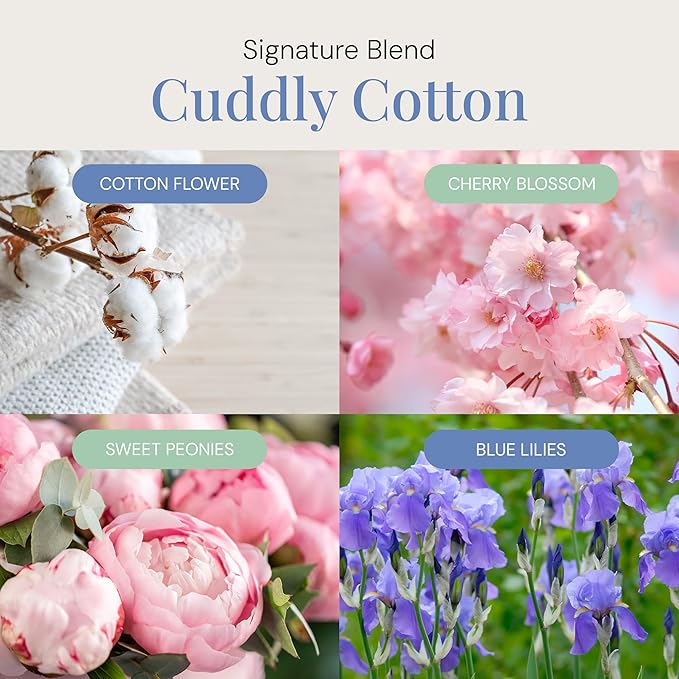 Air Esscentials Cuddly Cotton Aroma Oil for Smart Scent Air Machines & Cold Air Diffusers, Pet-Safe Fresh Cotton Essential Oil, Floral, and Crisp Apple Scents, 100mL - Bloomnest