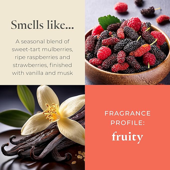 PartyLite Gift Set of 12 Universal Tea Lights, Mulberry Scented, Notes of Black Currant, Sweet BlackBerry, Juicy Mulberry & Pomegranate, 4-6 Hour Burn Time, Luxurious & Rich, Perfect for Gifting - Bloomnest