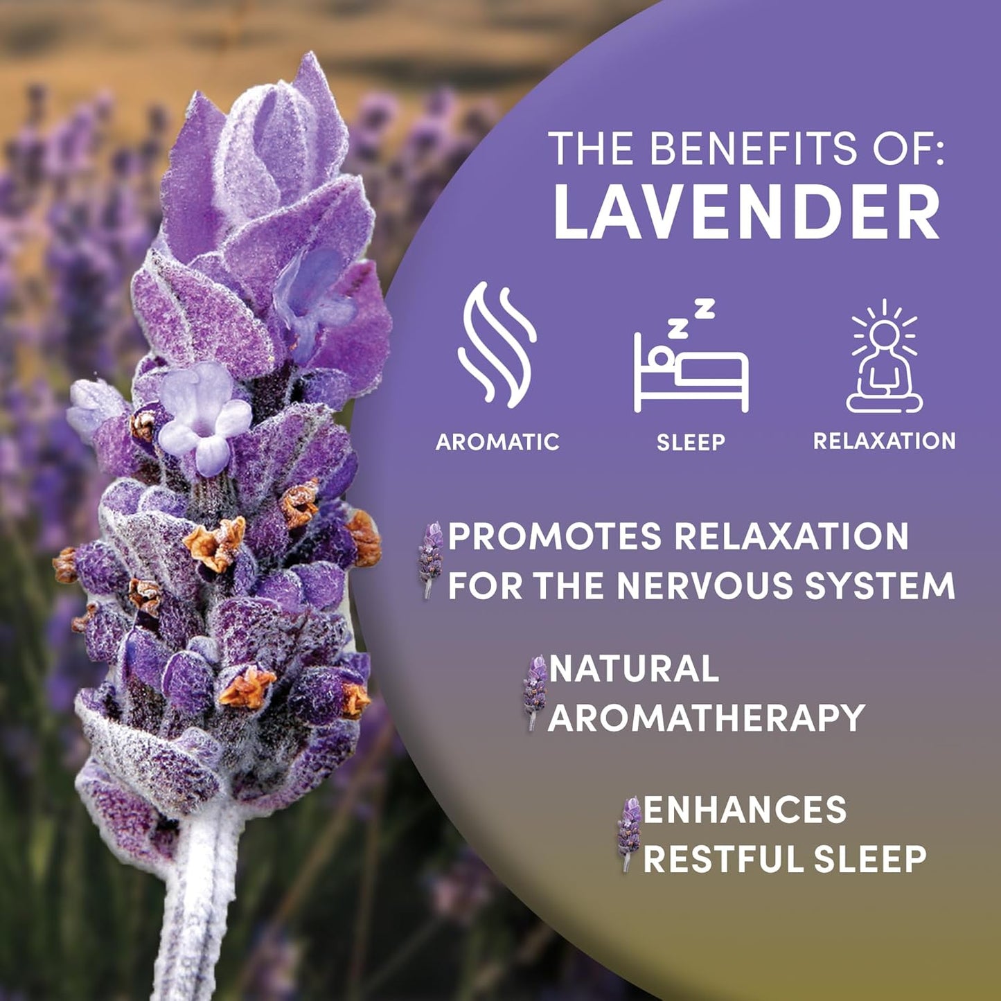 Worldwide Botanicals Organic Lavender Flowers, 1 lb, Pure European Lavender buds, Perfect for Aromatherapy, Sachets, Wedding celebrations, Tea flavoring, Eye pillows Scenting The Home
