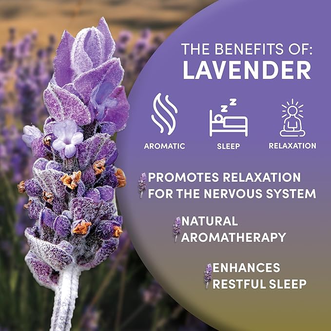 Worldwide Botanicals Organic Lavender Flowers, 4 ounces, Pure European Lavender buds, Perfect for Aromatherapy, Sachets, Wedding celebrations, Tea flavoring, Eye pillows Scenting The Home - Bloomnest
