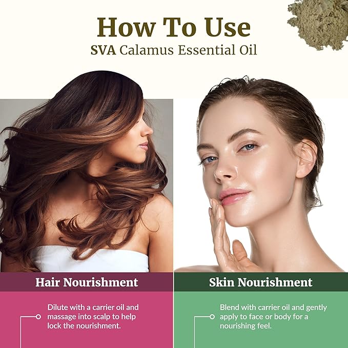 SVA Calamus Essential Oil – 1 Fl Oz – 100% Natural Calamus Oil - for Diffuser, Hair Care, Face, Skin Care, Aromatherapy, Scalp and Body Massage, Soap and Candle Making – with Dropper - Bloomnest