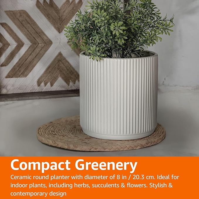 Amazon Basics Fluted Ceramic Round Planter, 8-inch, White - Bloomnest