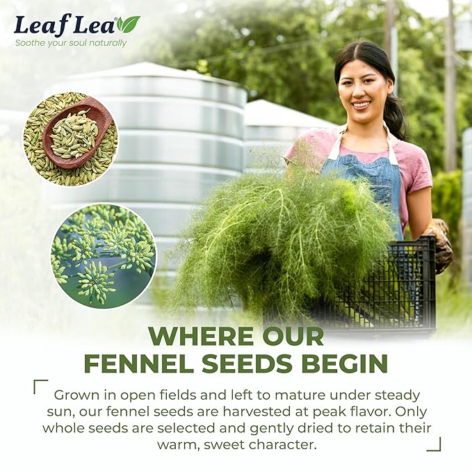 LeafLea 80 Premium Fennel Tea Bags, Pure Dried Fennel Seed Tea, Daily Ease & Balance, Naturally Sweet Taste, Caffeine-Free, Sugar-Free, Non-GMO, Vegan, Individually Wrapped - Bloomnest