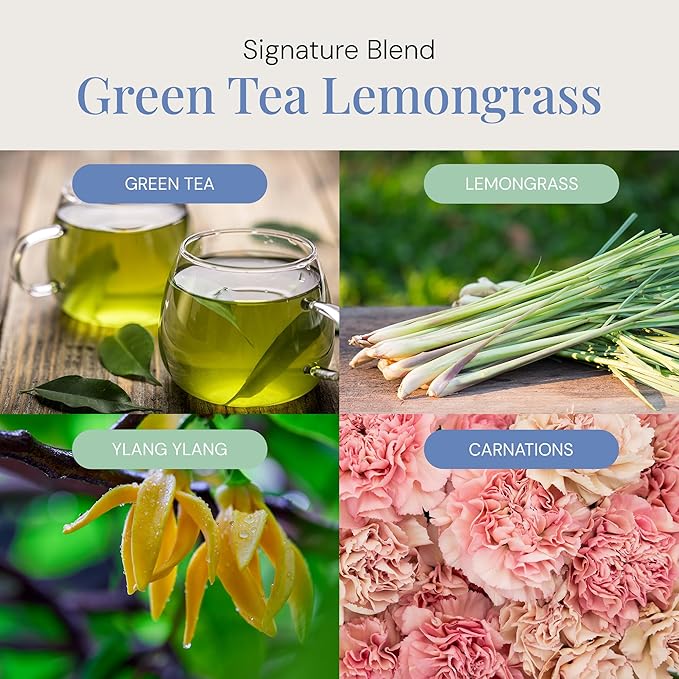 Green Tea & Lemongrass Aroma Oil, Essential Oils Blend for Diffusers and Scent Machines, Citrus, Floral & Green Notes, Aromatherapy, Cold Air Diffuser Compatible, 300 mL - Bloomnest