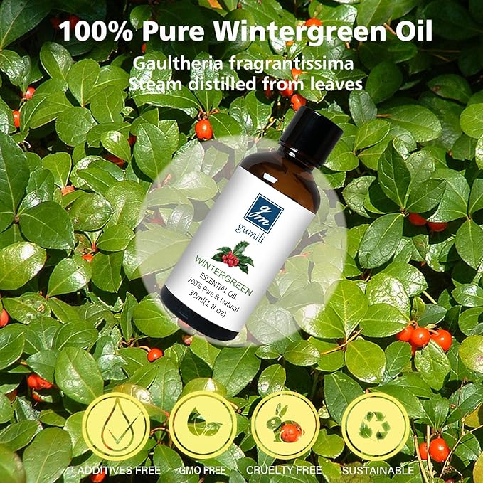 Wintergreen Essential Oil, 100% Pure Undiluted Wintergreen Oil for Aromatherapy - 30ml/1 oz - Bloomnest