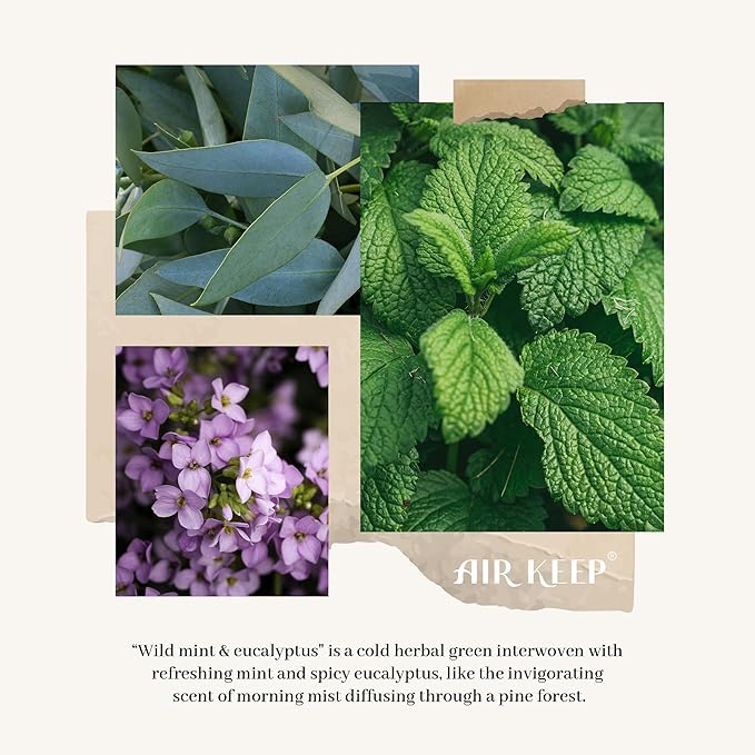 Airkeep Flower Reed Diffusers Set, 5.07 oz Wild Mint&Eucalyptus Scented Oil Diffuser with 8 Reed Sticks, Home Fragrance Diffuser Gift Set for Bathroom & Office Decor 150ml - Bloomnest
