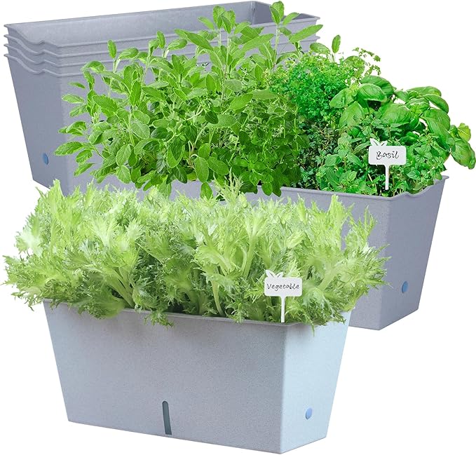 Window Box Planter 6 Pcs, 16.5 Inches Self Watering Rectangle Flower Plant Pots with Drainage Holes Trays, Vegetable Planters for Windowsill Patio Garden Balcony Porch Yard (Grey) - Bloomnest