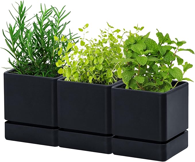 4 Inch Herb Planter Pot, Plastic Planter with Drainage Holes and Saucer, Modern Decorative Gardening Pot for Indoor Plants, Flowers, Herbs, Succulents, Black, Set of 3, 76-Y-B-3 - Bloomnest