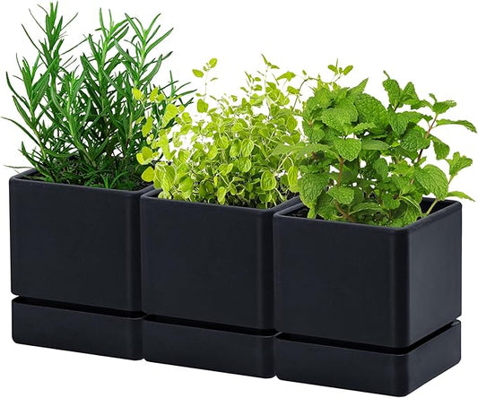 4 Inch Herb Planter Pot, Plastic Planter with Drainage Holes and Saucer, Modern Decorative Gardening Pot for Indoor Plants, Flowers, Herbs, Succulents, Black, Set of 3, 76-Y-B-3 - Bloomnest