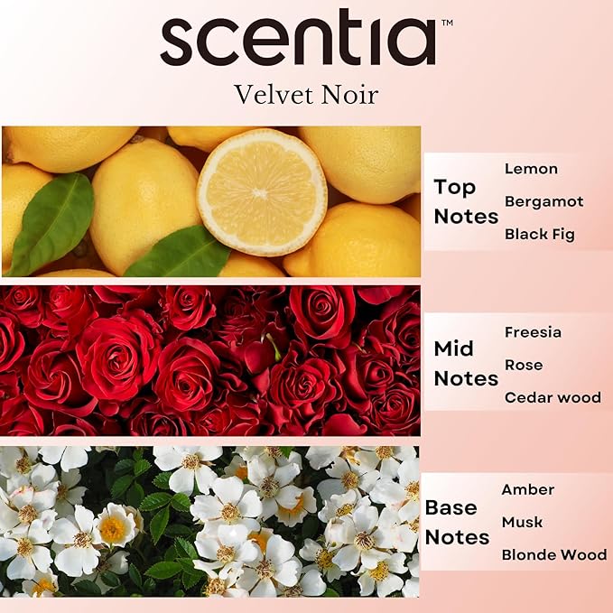 Scentia Noir Mystique – Hotel-Inspired Diffuser Oil, 20ml (0.67 fl oz) | Essential Oil Blend of Rose, Bergamot, Lemon & Musk | Luxury Aroma for Aromatherapy Diffusers & Humidifiers - Bloomnest