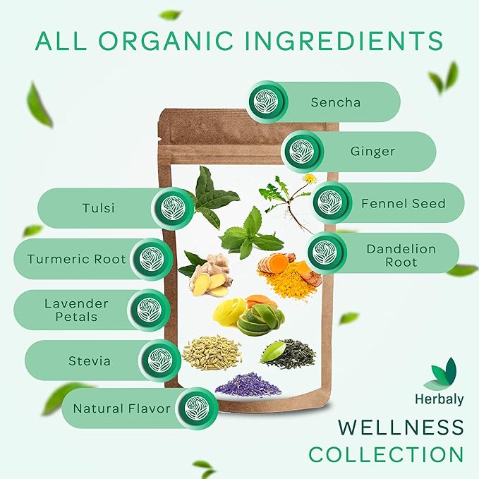 Herbaly Wellness Collection Organic Herbal Ginger Tea, 70 g, 28 Count Bag (Pack of 1) - Bloomnest