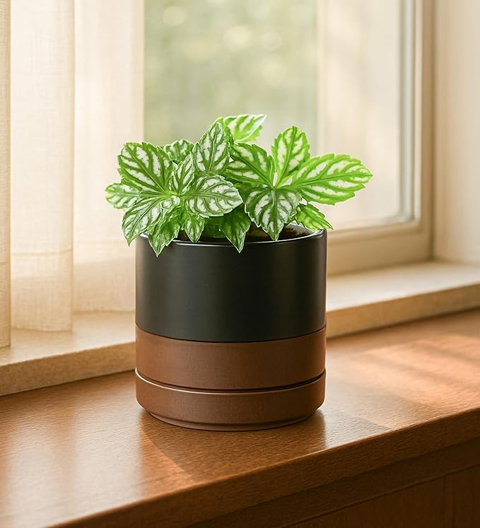 D'vine Dev Set of 2 Plants Pots, 4.7 Inch Ceramic Planter Pot for Plants with Drainage Hole and Saucer, Black/Speckled Tan, 94-V-B-7 - Bloomnest