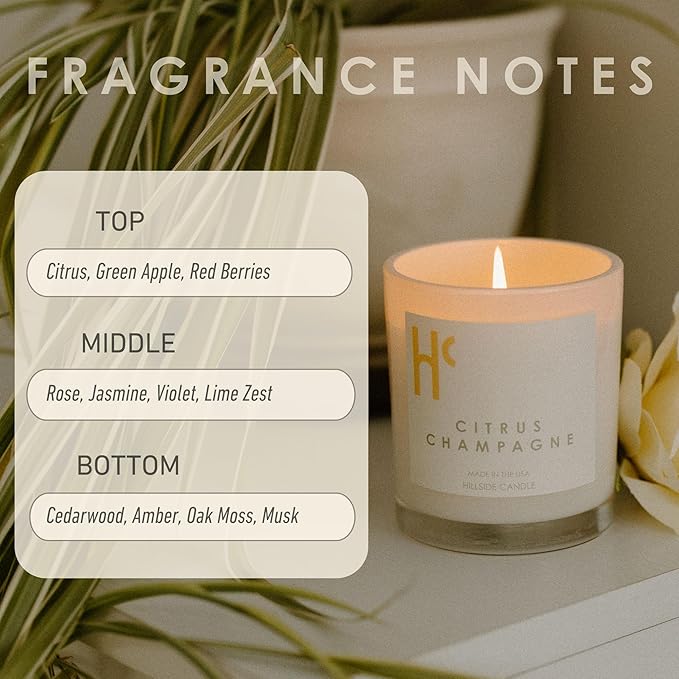 Citrus Champagne Single Wick Soy Candles, Luxury Scented Candles for Home - Up to 60 Hour Burn Time, Cruelty-Free Soy Wax Blend - Citrus Fragrance, Notes of Berries & Jasmine (9 oz) - Bloomnest