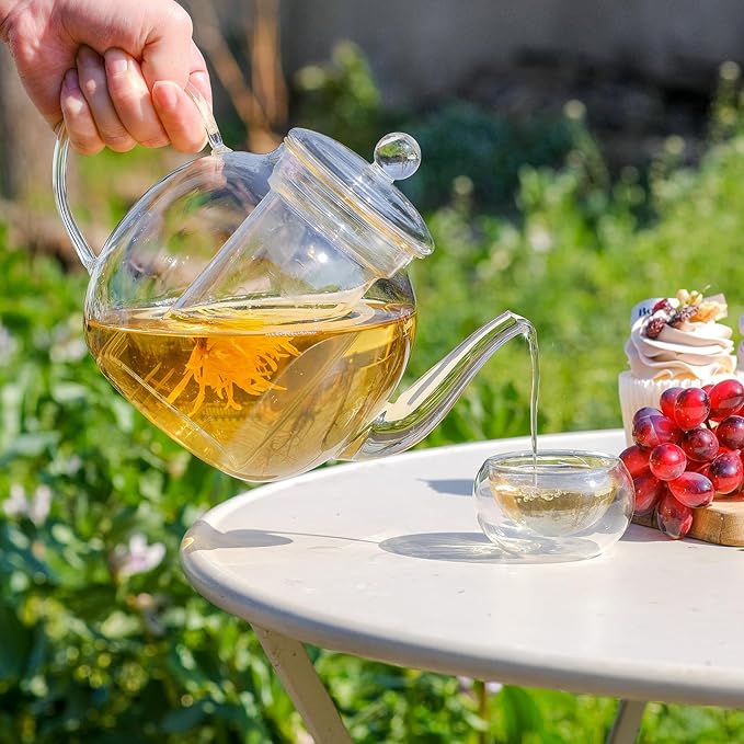 Glass Teapot Set with 4 Teacups, 1500 ml/50 oz Tea Pot with Infusers for Loose Tea and Flower Tea, Stovetop and Microwave Safe Borosilicate Glass Tea Kettle, Tea Gift Sets for Tea Lovers - Bloomnest