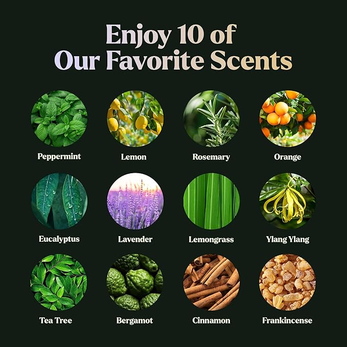 Lagunamoon Essential Oils Set - 12 Piece Premium Grade Home Essentials Oils - for Diffusers, Fragrance, Scents for Candle Making - Natural Aromatherapy Oils for Cars & Home Products, Room Sprays - Bloomnest