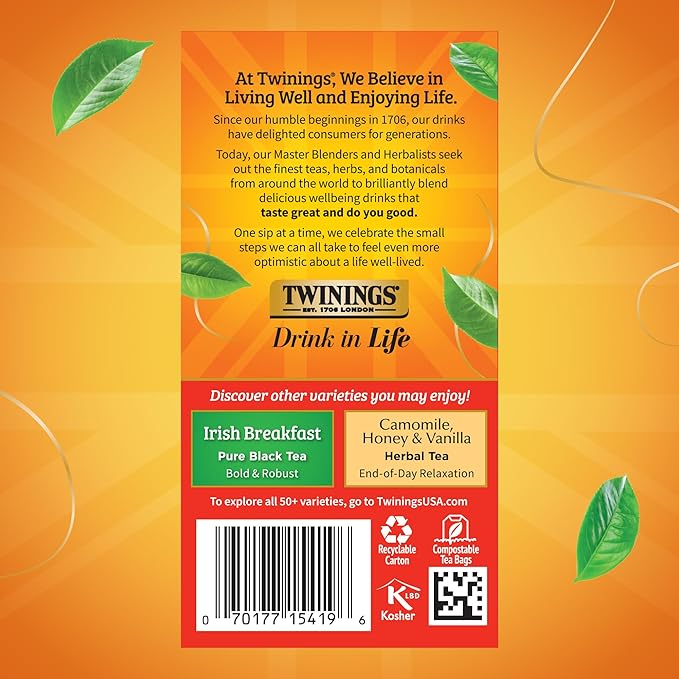 Twinings English Breakfast Black Tea Individually Wrapped Bags, 20 Count (Pack of 6), Flavourful, Robust, Caffeinated, Enjoy Hot or Iced, 120 Teabags - Bloomnest