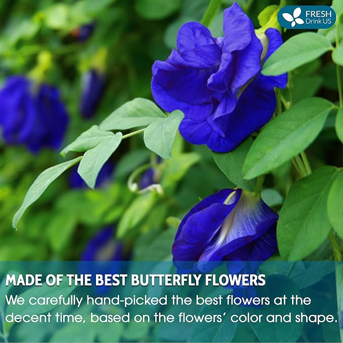 FreshDrinkUS, Premium 8oz Blue Butterfly Pea Flowers Dried – Premium Whole Flower Herbal Tea – Vibrant Blue Natural Color – Caffeine-Free Loose Flower Tea. Vegan - Bloomnest