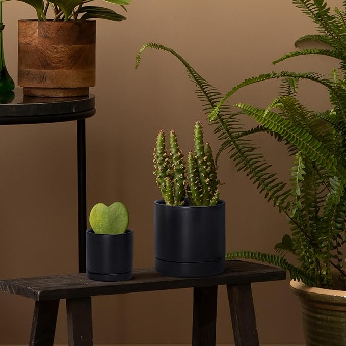 D'vine Dev 3.5 Inch & 4.7 Inch Ceramic Planter Pots for Plants with Drainage Hole and Saucer, X-Small Plant Pots Set, Black, 94-G-XS-2 - Bloomnest
