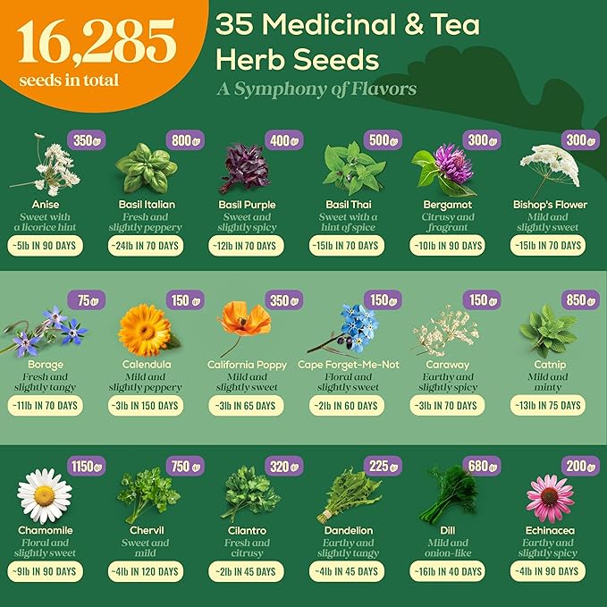 35 Medicinal & Tea Herb Seeds Variety Pack - 16,285+ Non-GMO Heirloom Herbs Seeds for Planting Indoor & Outdoor: Lavender, Rosemary, Echinacea, Mint, Catnip, Basil - Gardening Seed Packets - Bloomnest