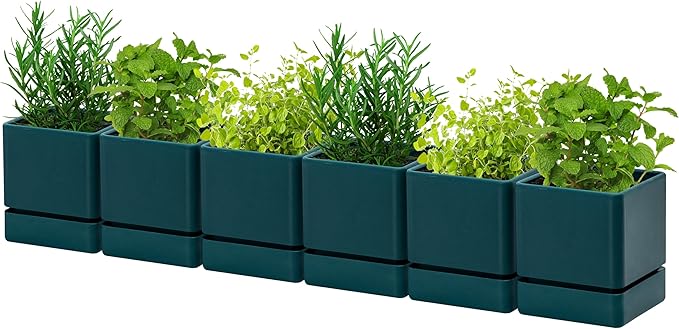 4 Inch Herb Planter Pot, Plastic Planter with Drainage Holes and Saucer, Modern Decorative Gardening Pot for Indoor Plants, Flowers, Herbs, Succulents, Green, Set of 6, 76-Y-C-6 - Bloomnest