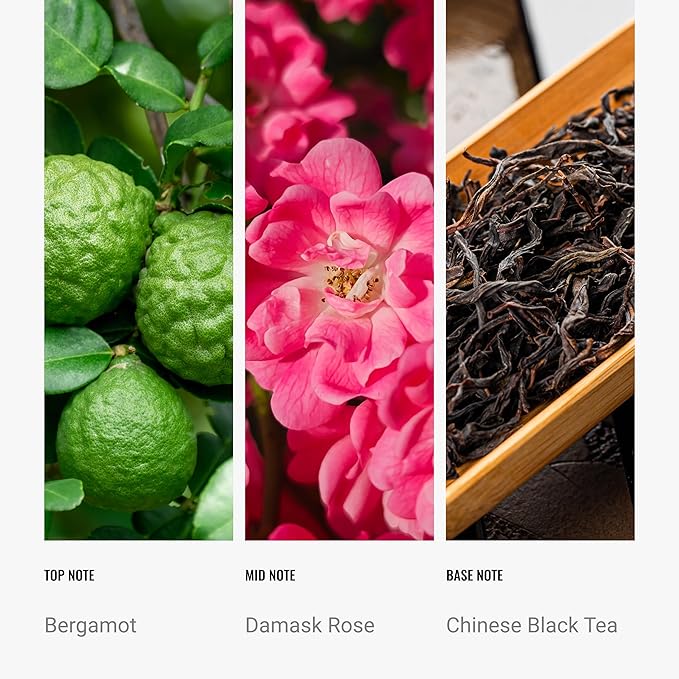 Hotel Collection - Jedi Chauffeur Car Diffuser Oil - Light Side Luxury Essential Car Diffuser Oil - Bergamot Damask Rose Chinese Black Tea - 20ml - Bloomnest
