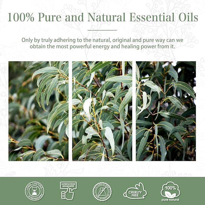 PHATOIL Eucalyptus Essential Oil 30ML, Pure Eucalyptus Essential Oils for Diffuser, Humidifier, Aromatherapy, Perfect for DIY Soap, Candle, Bath Bombs Making PHATOIL